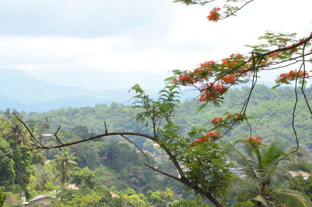 The Buena Vista Kandy Kültér fotó