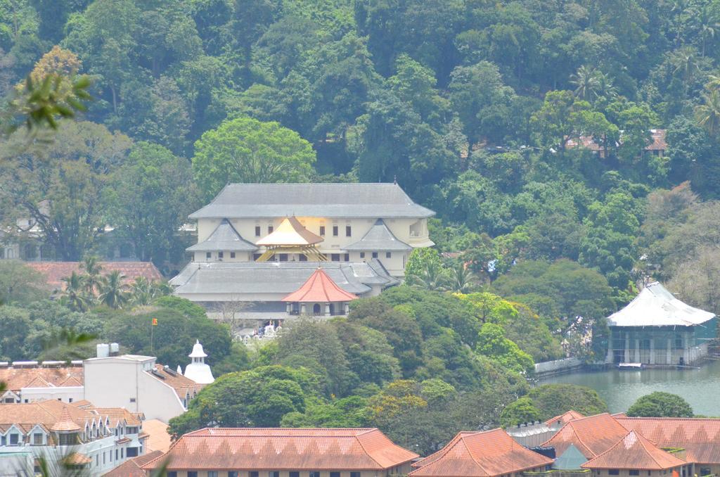 The Buena Vista Kandy Kültér fotó