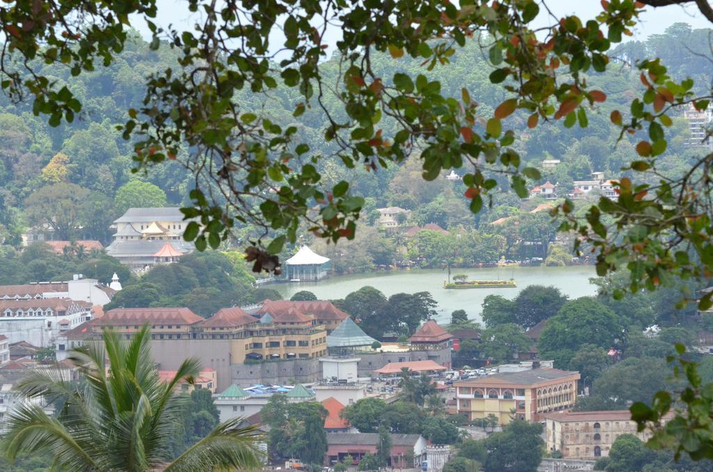The Buena Vista Kandy Kültér fotó